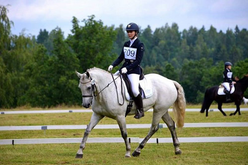 Spiddal’s Breeze Connemara Performance Ponies